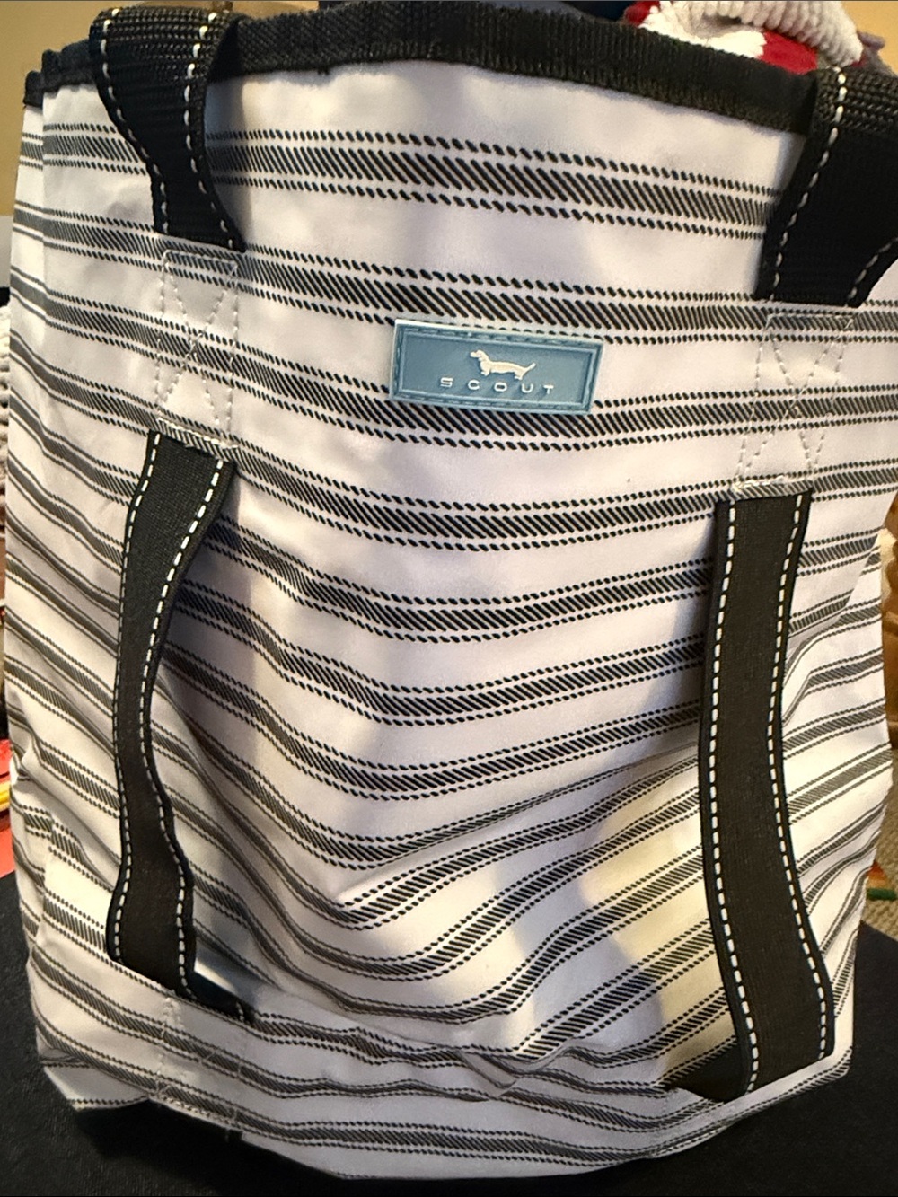 Scout Black & White Striped Canvas Gym Bag Tote